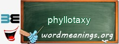 WordMeaning blackboard for phyllotaxy